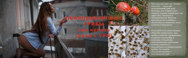 СК Абаза