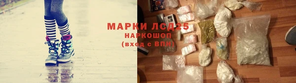 ешки Алексин