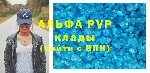 ешки Алексин