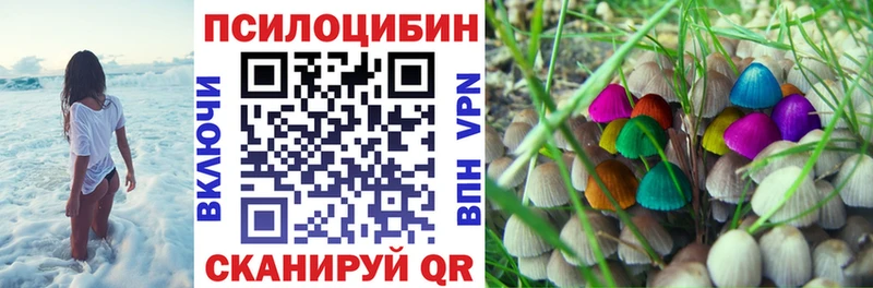 хочу   даркнет состав  Псилоцибиновые грибы прущие грибы  Щёлкино 